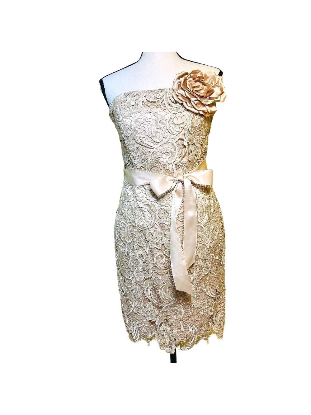Cache lace dress with belt